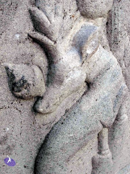 File:20100107 IMG 2311 CMP WM 0000.jpg