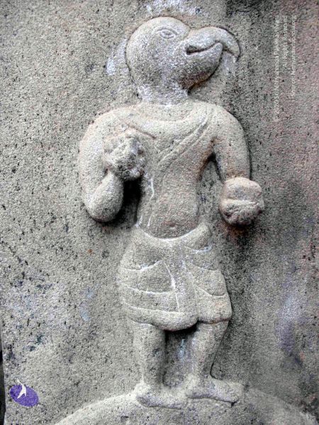 File:20100107 IMG 2312 CMP WM 0000.jpg