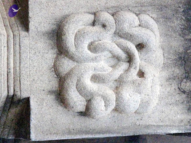 File:20100107 IMG 2316 CMP WM 0000.jpg