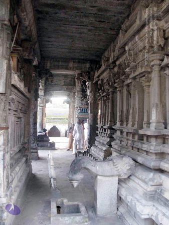 20100107 IMG 2323 CMP WM 0000.jpg