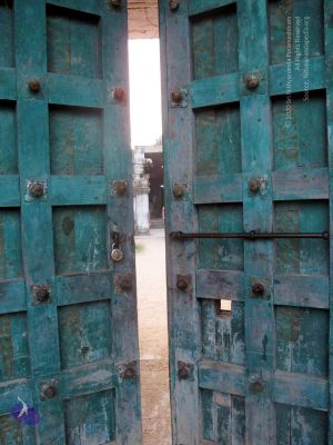 20100107 IMG 2331 CMP WM 0000.jpg