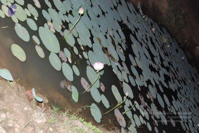 File:20100111 Photo 1303 1u4crye5JzAK4ywe ER7emCcjdjiik6FC.JPG