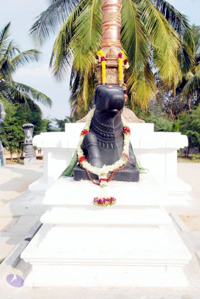 File:20100113 DSC 9729 CMP WM01.jpg