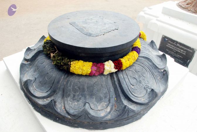 20100113 DSC 9746 CMP WM01.jpg