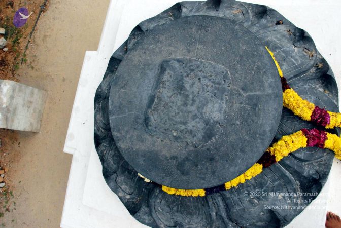 20100113 DSC 9751 CMP WM01.jpg