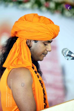 20100113 IMG 0506 CMP WM01.jpg