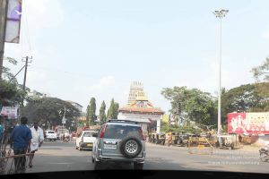 20100113 IMG 0557 CMP WM01.jpg