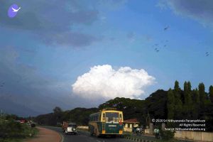 20100113 IMG 0560 CMP WM01.jpg