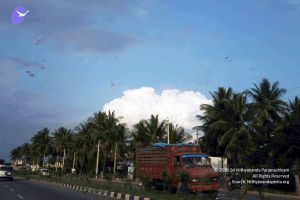 20100113 IMG 0561 CMP WM01.jpg