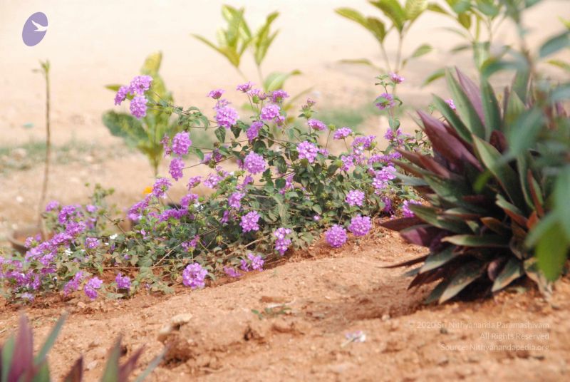 File:20100113 Photo 1044 1K2jhVsX VIeIJYU8ghVkU9BJxlSsWPV7.JPG