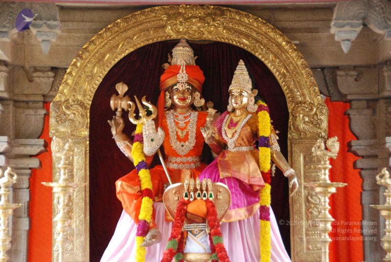 File:20100113 Photo 1084 15xNVQxcIn1A0QB9y1EaV0LxetQu8AV0S.JPG