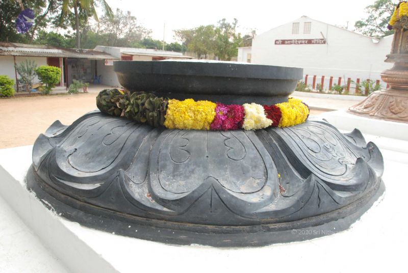 File:20100113 Photo 1120 1bu2MX803rFtmX6vOzp8ZTdO0yJN9BgUq.JPG