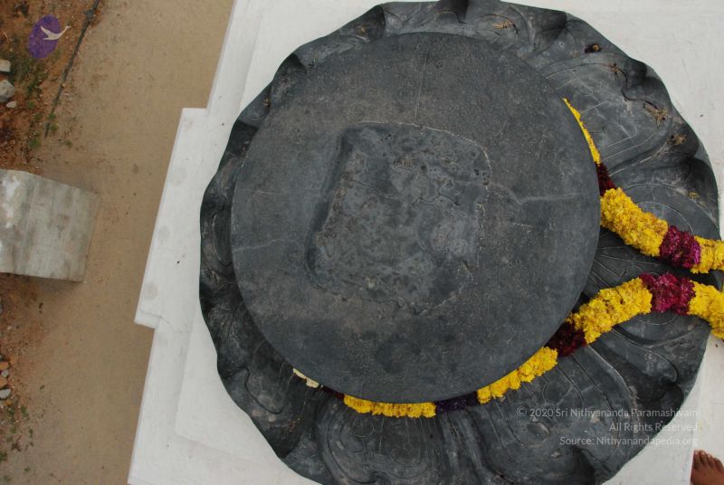 File:20100113 Photo 1124 1yY916Ufptd2HVizrOajnMA9eIuU4cMQm.JPG