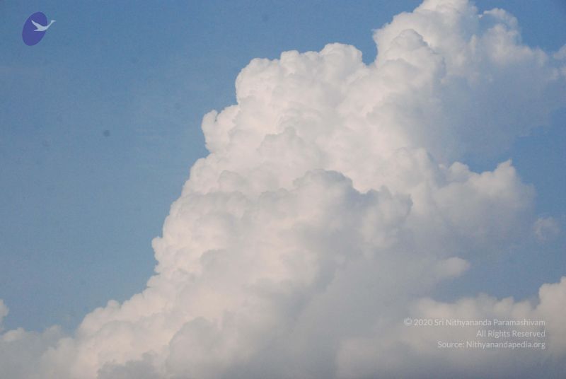 File:20100113 Photo 1125 1yxDV9PHFKWntqlnAs E0ZWEkZJ6Tax3O.JPG