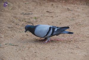 20100113 Photo 1132 1X2XO2DdWKKq kbiWhsAGviA4As3VT90W.JPG