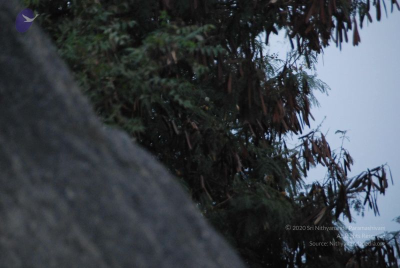 File:20100113 Photo 1135 1 vocf1RMG-o aln-1sBPsd9YTqMQsPqw.JPG