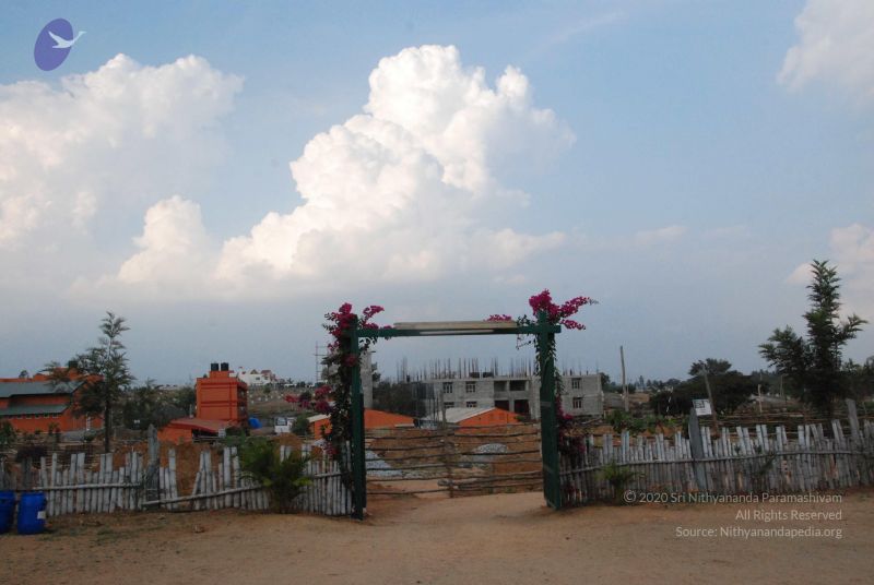 File:20100113 Photo 1136 1ciQbA3szwnjEOCPOaClLTtt3ZNrJRJGS.JPG