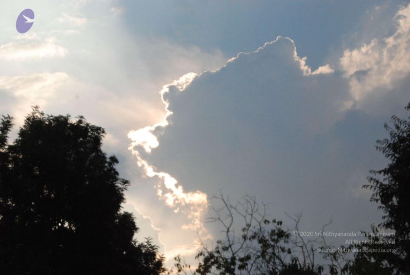 File:20100113 Photo 1138 1mgIUvU6fMdnCn0FybSiNTUtrIa0N3hN9.JPG