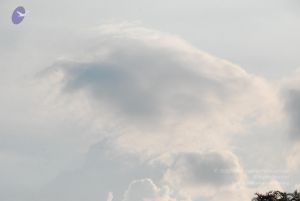 20100113 Photo 1141 1jn4WZL1wvQe-QVDA27LOCKj7rYSNs7z5.JPG