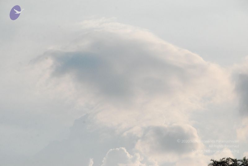 File:20100113 Photo 1141 1jn4WZL1wvQe-QVDA27LOCKj7rYSNs7z5.JPG