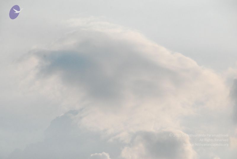 File:20100113 Photo 1142 1dc3l43yatTCmTlqATNADgtaaqYcZf4aY.JPG