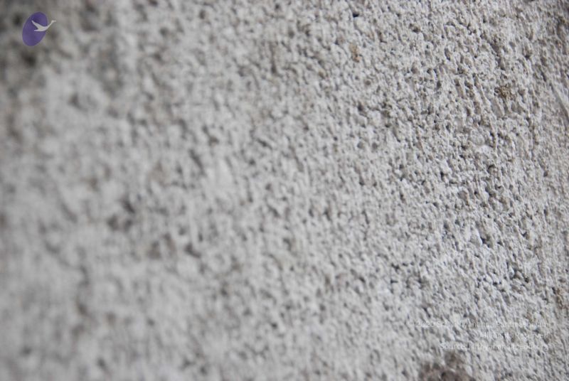 File:20100113 Photo 1150 1MRAxH93UrQucnGU6ut2NJoT0a-qqx37b.JPG