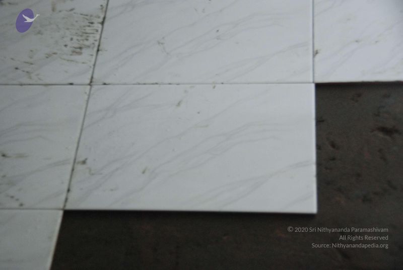 File:20100113 Photo 1152 156oW-i1Sl1ApMhsX6rvUsWG3eHrkYMFy.JPG