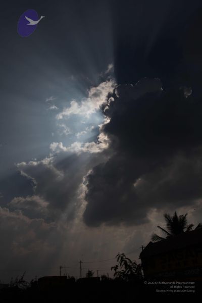 File:20100113 Photo 1340 1IEsrgAIKKBm6WDIJufM1T2mvEyjgX Ei.JPG