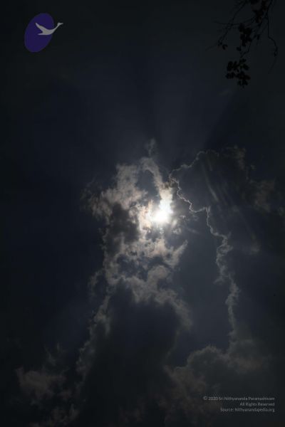 File:20100113 Photo 1343 1Xg7XwX8L8xwTxZjFPyO2-hRvMK 8gkMG.JPG