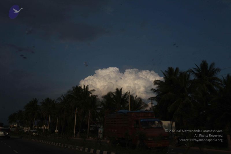 File:20100113 Photo 1348 1XXkYfevmNjpaw9bxaSxauU1czHA6cWV9.JPG