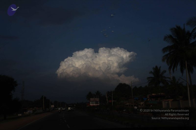 File:20100113 Photo 1349 1maUd9MhG5l5FeQQ67rqDBJv0zosJq mw.JPG