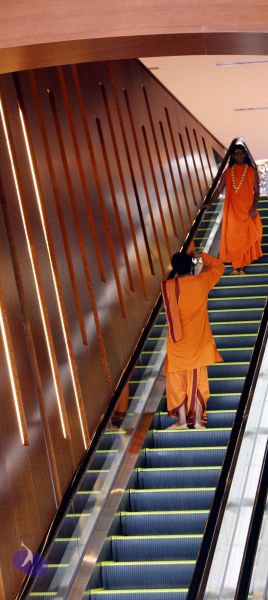 File:20100115 IMG 4195 CMP WM 0011.jpg