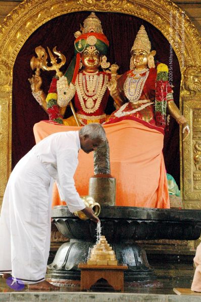 File:20100117 DSC 1206 CMP WM01.jpg