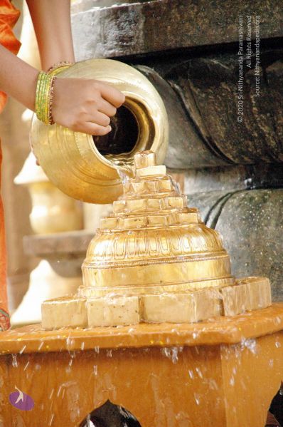 File:20100117 DSC 1218 CMP WM01.jpg