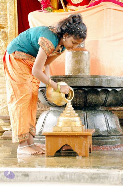 File:20100117 DSC 1219 CMP WM01.jpg