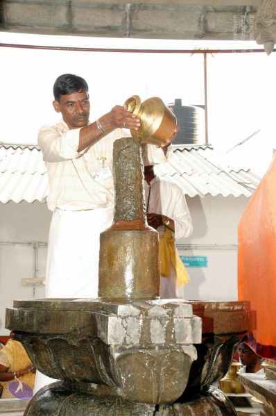 File:20100117 DSC 1220 CMP WM01.jpg