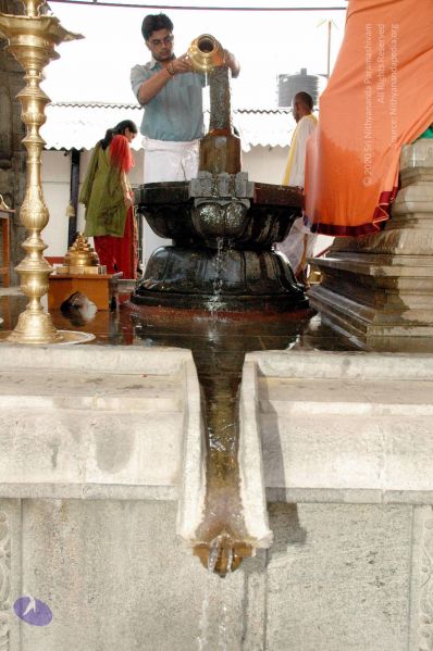 File:20100117 DSC 1259 CMP WM01.jpg