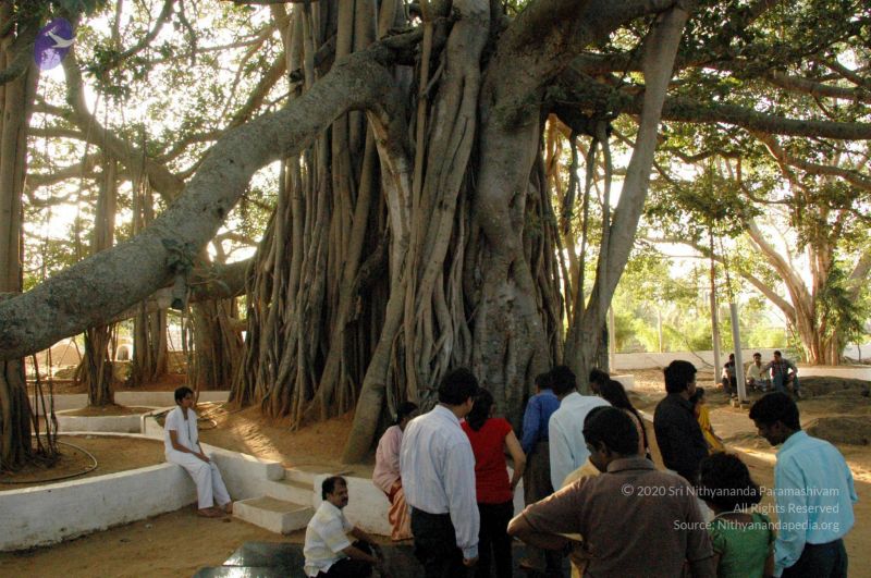 File:20100117 DSC 1318 CMP WM01.jpg