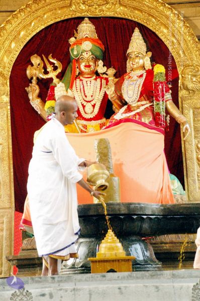 File:20100117 DSC 1352 CMP WM01.jpg