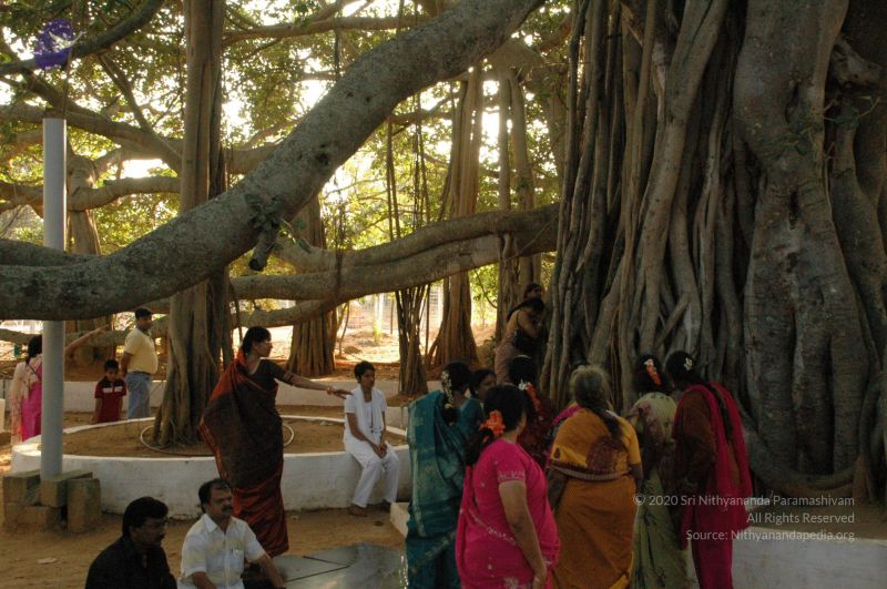File:20100117 Photo 1087 1xSQvZvrEdU4cRaYOMEriDjljJThCNDVs.JPG