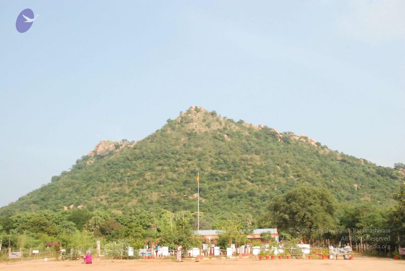 File:20100118 Photo 1012 1 dK1haXaKGvCLtnKMd-7WFudZYnYSG0b.JPG