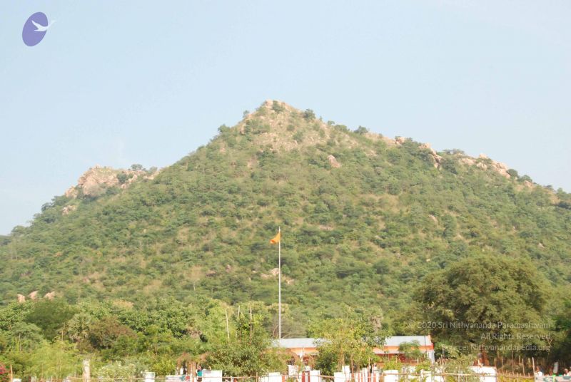 File:20100118 Photo 1014 1PpVzyzqKT38UCkL4nCBAZEnKAKyg-kCD.JPG