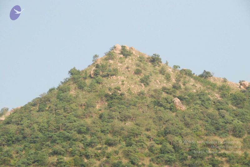 File:20100118 Photo 1015 1rw2wEc4L9yleLTEoDVzGBdNt6QpPTES9.JPG
