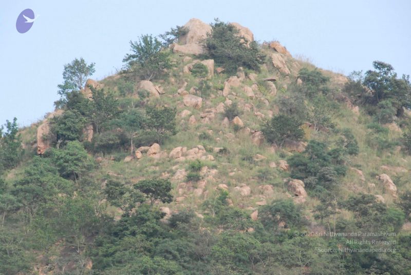 File:20100118 Photo 1040 1Cp MB91nsXYk6phs1 XdZyn9xzIVGds7.JPG