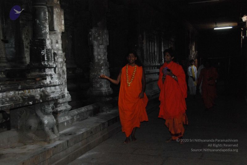 File:20100118 Photo 1044 1EM0yRH5VeeNZ-hSo0HzCM1Jv mscNCRg.JPG