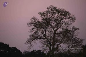 20100122 Photo 1213 1hg8VwSJoqcnyWtuF0Pw0FmcBULAgBSQa.JPG