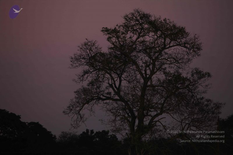 File:20100122 Photo 1214 1ypvwiQSkhSVhbhOkidR6NbOdBRxGPzuD.JPG