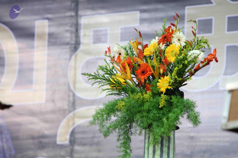 File:20100122 Photo 1394 1Lvcoh-98IU44cRTXdED6rtk14Ph9CY0p.JPG