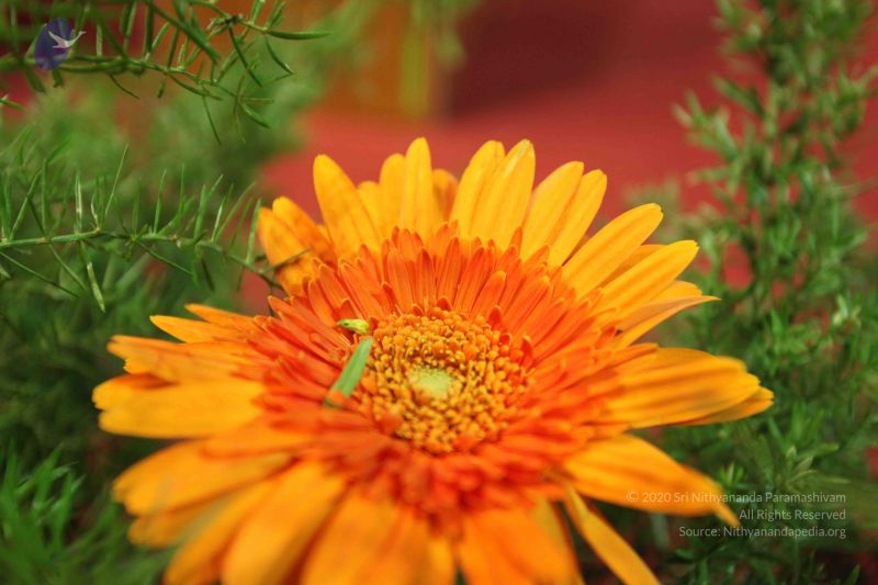 File:20100122 Photo 1600 13U0qKG4LlRk6hcldpEJkaWp62ggW-Wql.JPG