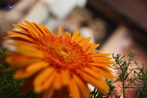 20100122 Photo 1632 1ial5mjVKKQwyYcSYsgWHHh1u4omVJObW.JPG